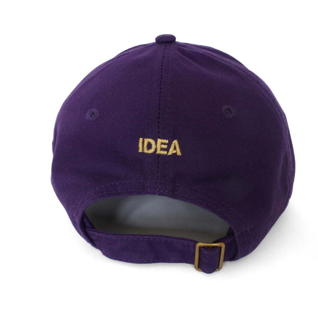IDEA - 