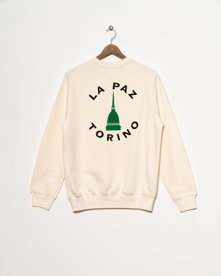 Uo torino sweatshirt mini dress on sale